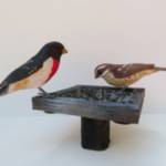 Rose-beasted Grosbeak pair by Don Smith