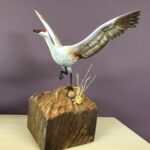 Mini Sandhill Crane by Bob Steele