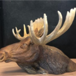 Moose bust with Brenda Mitchell
